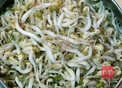 孵豆芽菜的做法图解5