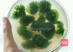 蔬菜水晶冻的做法图解13
