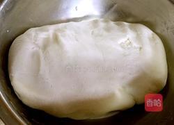 青团，彩团的做法图解4