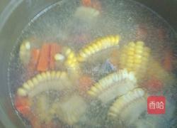 ＃乐享陶瓷＃玉米胡萝卜猪骨汤的做法图解3
