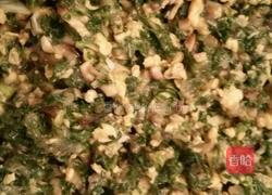 荠菜饺子的做法图解2