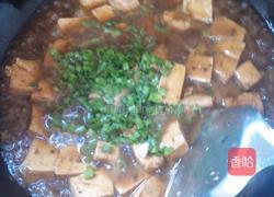 麻辣豆腐的做法图解6