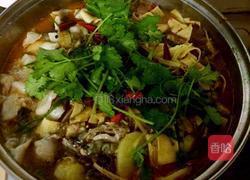 酸菜水煮鱼（简单版）的做法图解11