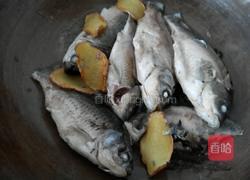 鲫鱼汤的做法图解1