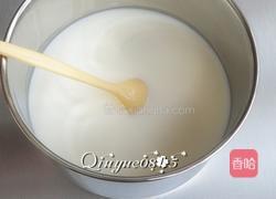 谷物果粒酸奶 的做法图解4