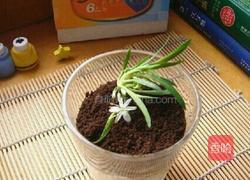 盆栽酸奶的做法图解5