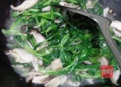 四个菜（香菇青菜.蒸茄子，娃娃菜.青椒炒八爪鱼）的做法图解3
