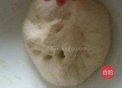 戗面馒头。的做法图解2