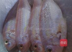 香煎咸红衫鱼的做法图解2
