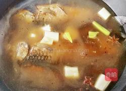 炖鲫鱼的做法图解10