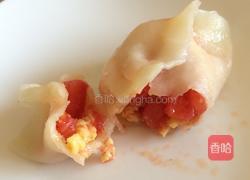西红柿鸡蛋馅饺子的做法图解15