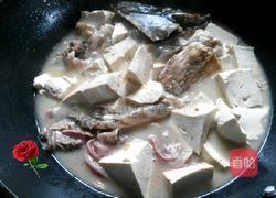 鱼肉炖豆腐的做法图解6