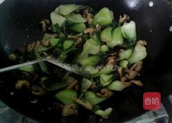 冬菇炒油菜的做法图解8