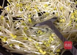 干煸黄豆芽的做法图解1