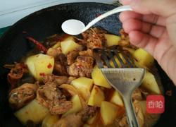 土豆炖鸡的做法图解11