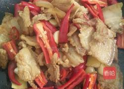 农家小炒肉的做法图解4