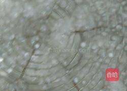 椰汁西米露的做法图解3