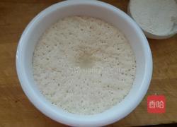 发面饼加肉的做法图解4