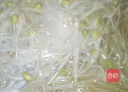 豆芽土豆面的做法图解11
