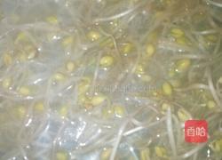 豆芽土豆面的做法图解10