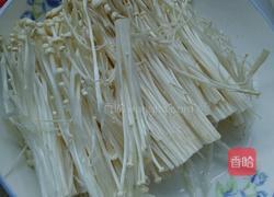 红焖羊肉的做法图解6