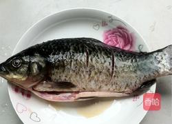西葫芦鲫鱼汤的做法图解1