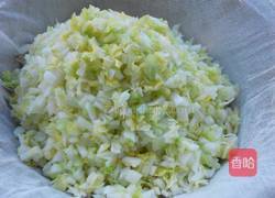 猪肉白菜包子的做法图解12