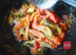 蕃茄炒茄子的做法图解7