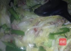 肉片辣椒白菜叶的做法图解5