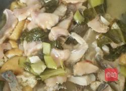 油豆腐酸菜鱼的做法图解8