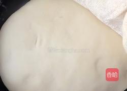 白菜猪肉饺子的做法图解3