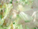 羊肉汤