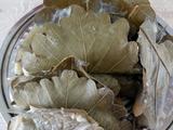玻璃叶饼（柞树叶饼）