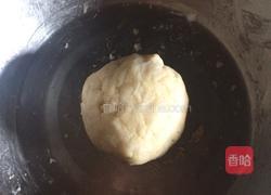 酥肉饼 （苏式鲜肉月饼）的做法图解3