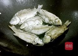 鲫鱼汤的做法图解4