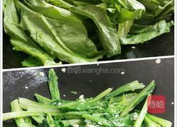 蒜蓉油麦菜的做法图解4