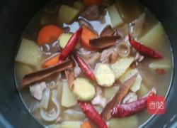 土豆炖肉的做法图解3