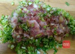 芹菜肉馅饺子。的做法图解6