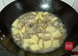 小鸡炖土豆的做法图解6