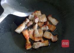 萝卜闷肉的做法图解5