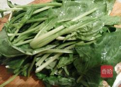 热拌菠菜的做法图解1