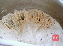 全麦波兰酵种土司的做法图解4
