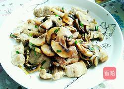 蘑菇炒肉的做法图解16