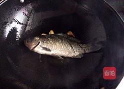 金汤鲫鱼的做法图解4