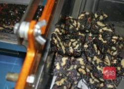 自制红枣枸杞阿胶糕的做法图解10