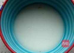 油菜烧豆腐的做法图解4