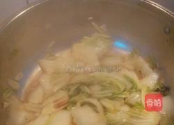 简易素炒白菜的做法图解4