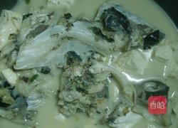 胡椒豆腐鱼头汤的做法图解4