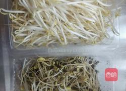 双色豆芽的做法图解1