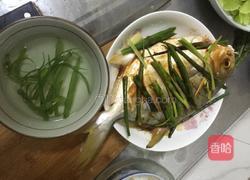 清蒸鲳鱼的做法图解7